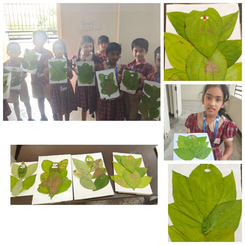 WhatsApp Image 2025-09-03 at 2.10.58 PM