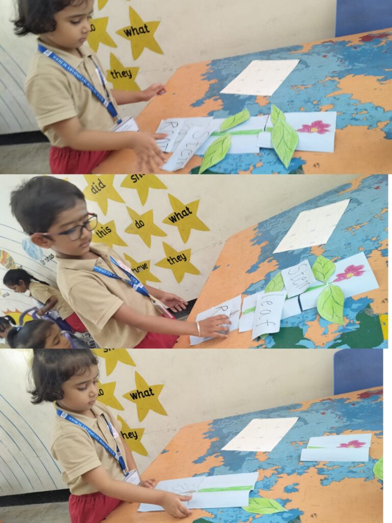 WhatsApp Image 2026-08-04 at 7.43.17 AM - Copy